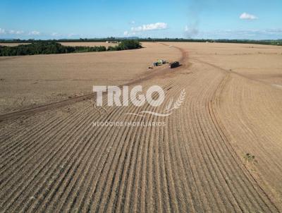 Fazenda para Venda, em Santa Rosa de Viterbo, bairro Zona Rural