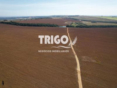 Fazenda para Venda, em Piracanjuba, bairro Zona Rural