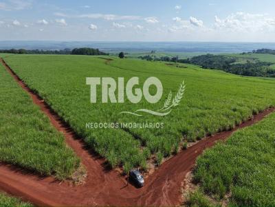 Fazenda para Venda, em Guatapar�, bairro Zona Rural