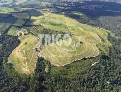 Fazenda para Venda, em Anal�ndia, bairro Zona Rural