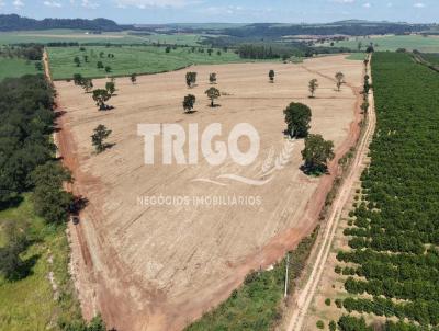 Fazenda para Venda, em Ibat�, bairro Zona Rural
