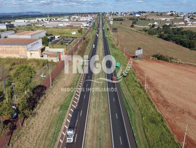 �rea para Venda, em Cravinhos, bairro 