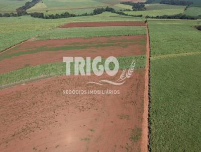 S�tio para Venda, em Pitangueiras, bairro Zona Rural